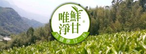 鮮甘唯淨