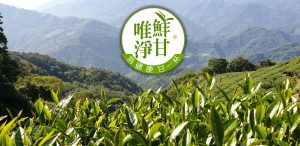 鮮甘唯淨